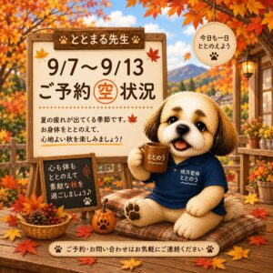 都筑区中川の横浜整体ととのう9/7(月)〜9/13(日)の予約空き状況。最新の詳細はHPをご確認ください。横浜整体ととのうのイメージキャラクター「ととまる先生」が紹介中。