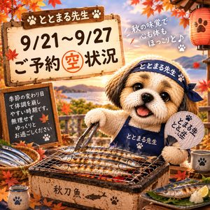 都筑区中川の横浜整体ととのう9/21(月)〜9/27(日)の予約空き状況。最新の詳細はHPをご確認ください。横浜整体ととのうのイメージキャラクター「ととまる先生」が紹介中。