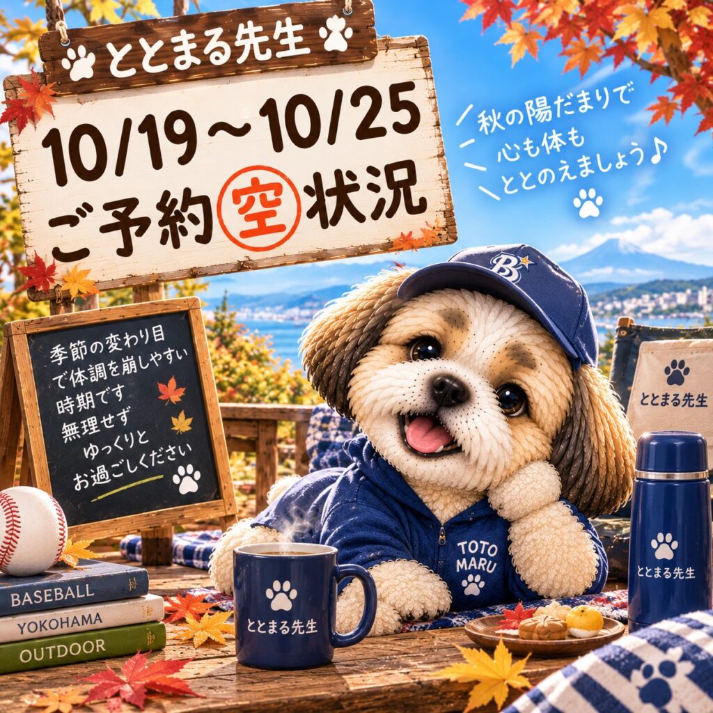 都筑区中川の横浜整体ととのう10/19(月)〜10/25(日)の予約空き状況。最新の詳細はHPをご確認ください。横浜整体ととのうのイメージキャラクター「ととまる先生」が紹介中。